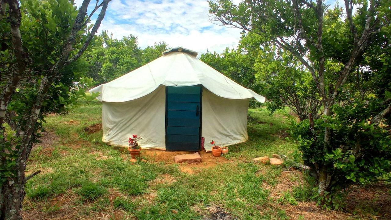 La Pacha Hostel Barichara Bagian luar foto
