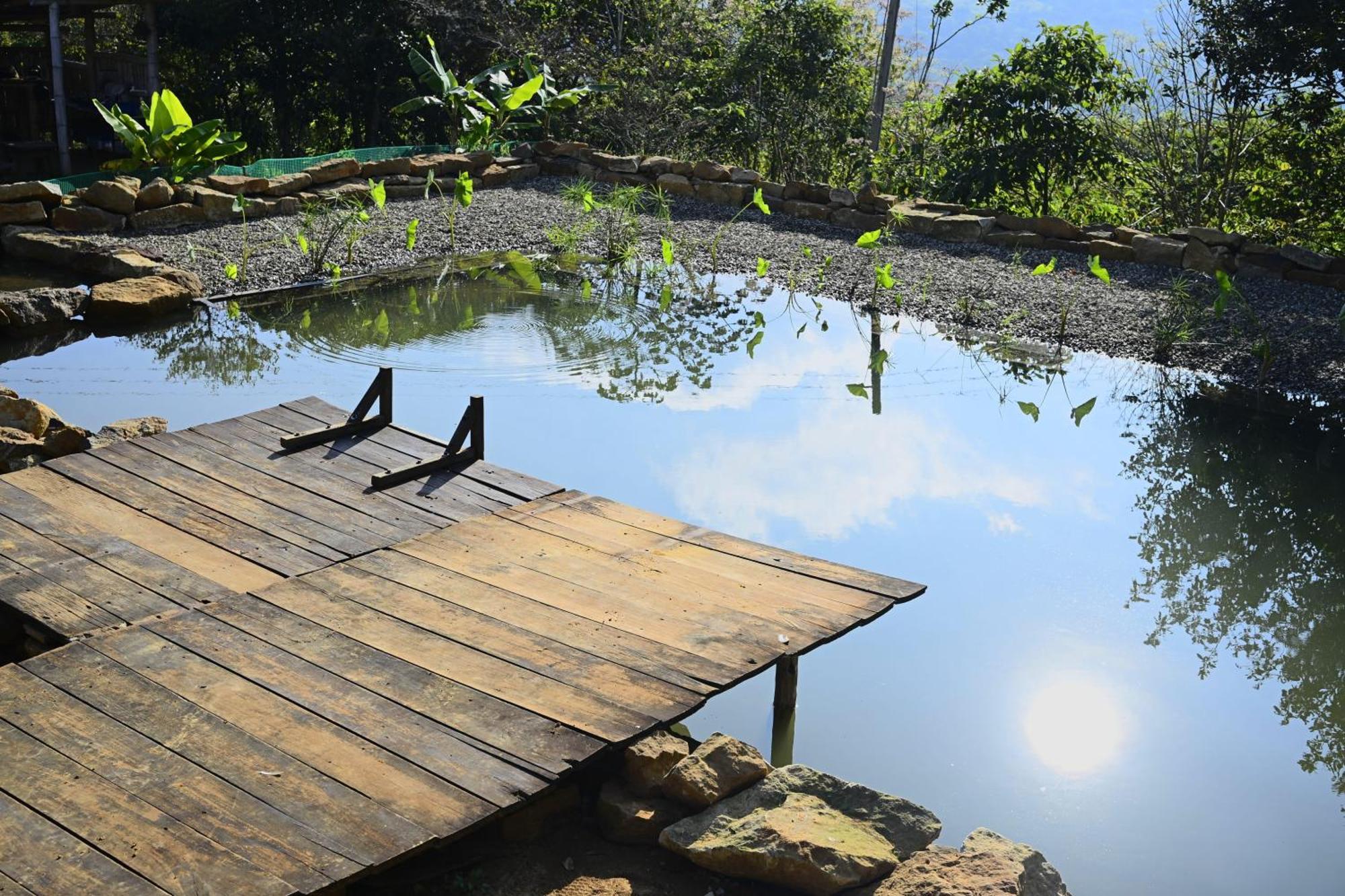 La Pacha Hostel Barichara Bagian luar foto